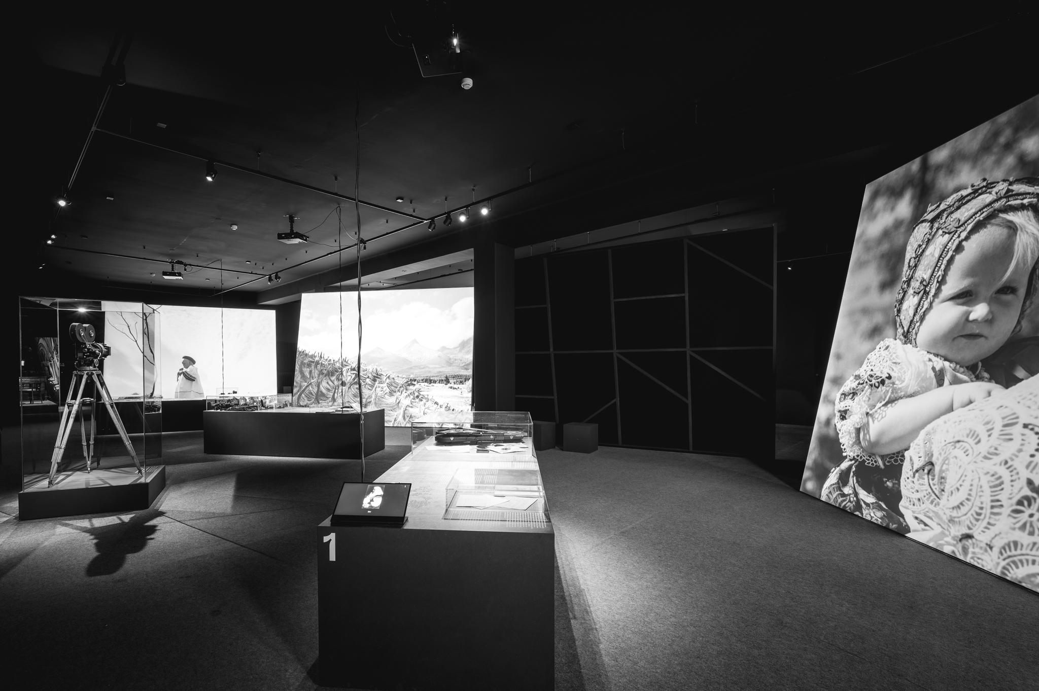 NZ6 2335 DxO DeepPRIME XD2s